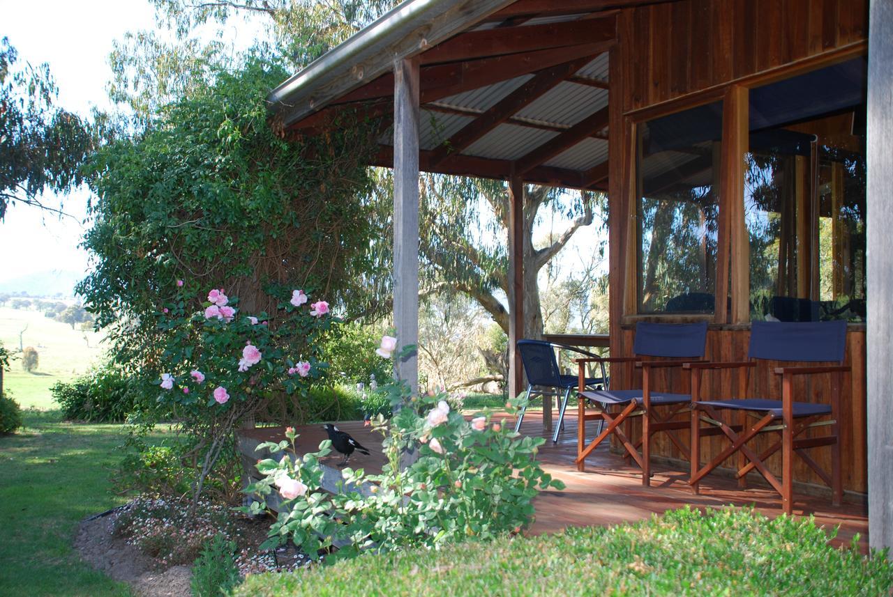 Bluegum Ridge Cottages Merrijig Kültér fotó