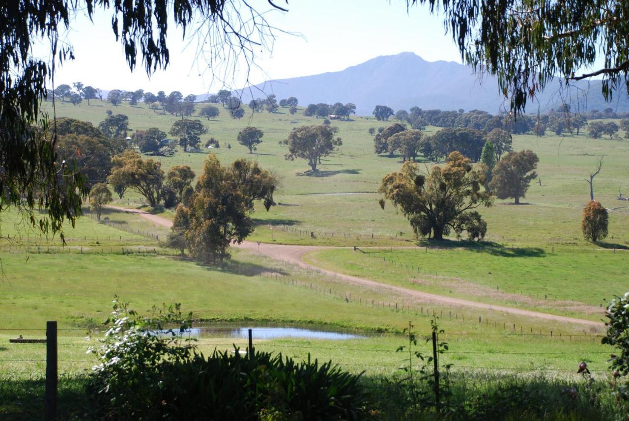 Bluegum Ridge Cottages Merrijig Szoba fotó