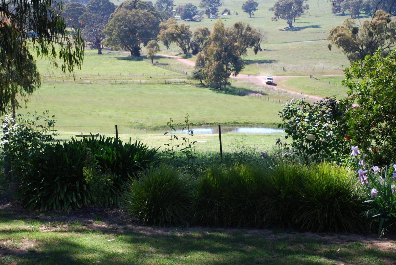 Bluegum Ridge Cottages Merrijig Szoba fotó